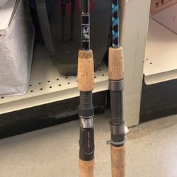 Castaway SLX3 and Graphite GS Series Fishing Rod