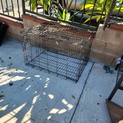 Big Cage