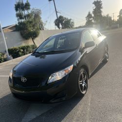 2010 Toyota Corolla