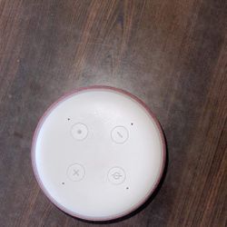 Echo Dot