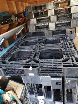 Solid Plastic Pallet - 40” x 48” x 5.9”. - $10 Each