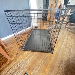 dog crate 