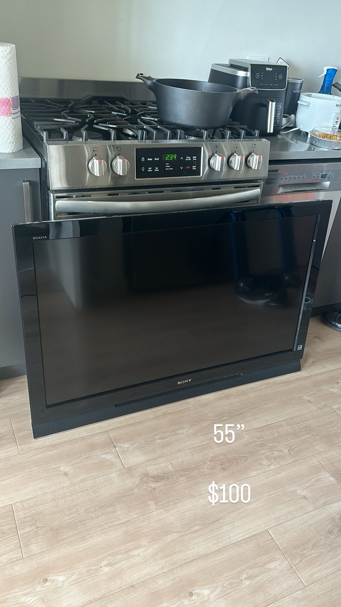 Flat Screen 55” Sony