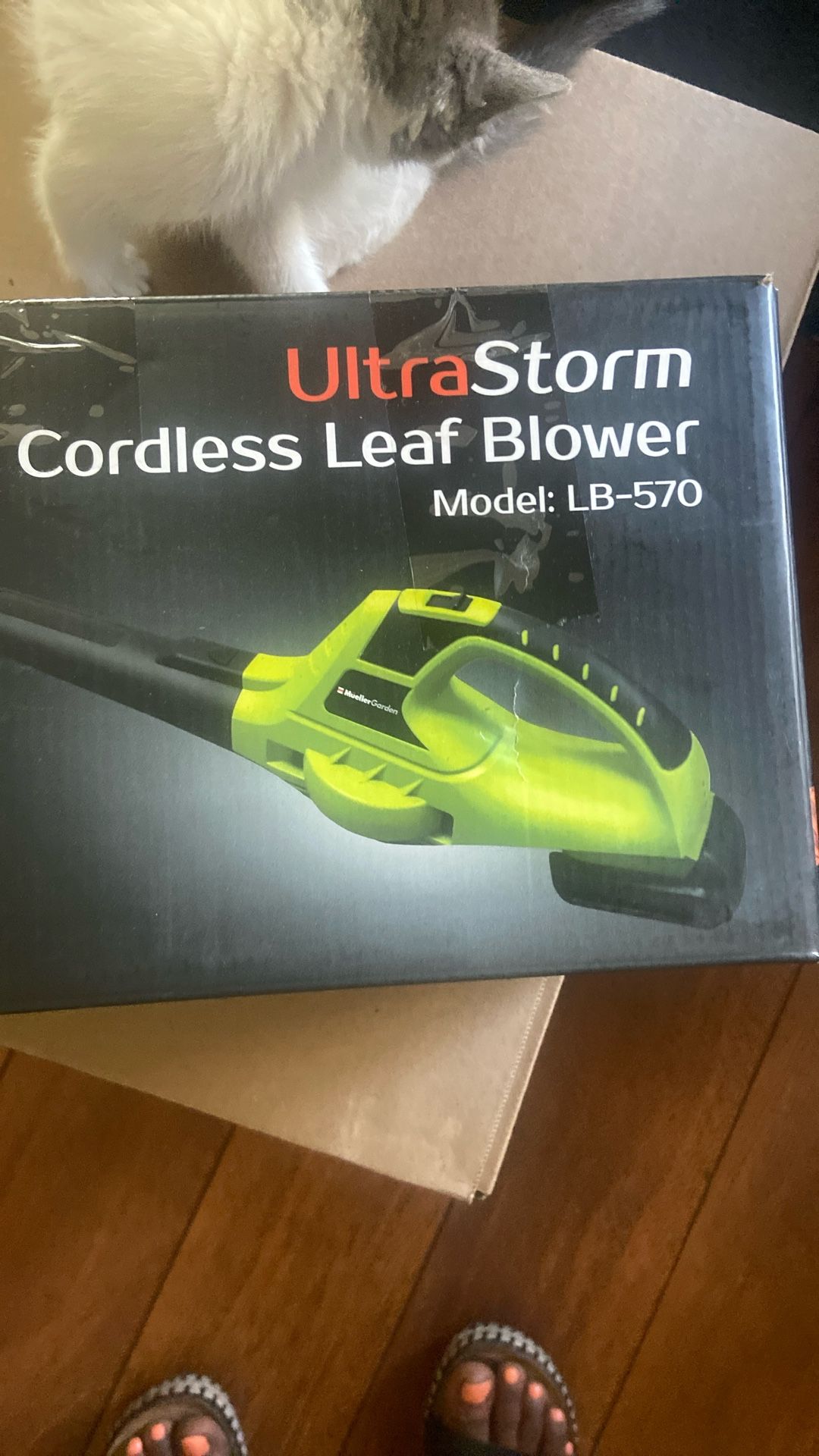Brand New Leaf Blower