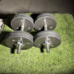 Adjustable Dumbbell Set