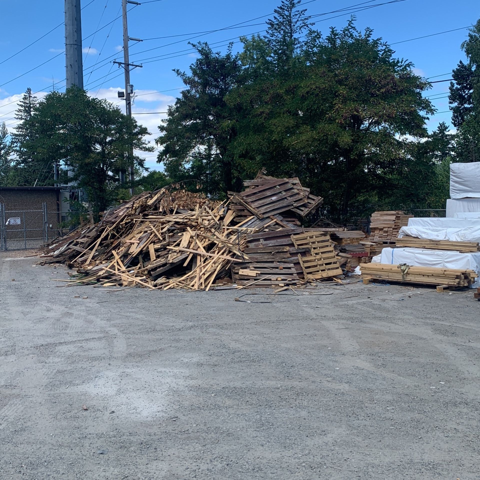 Free firewood