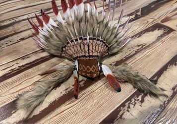 Small Dog Indian Headress