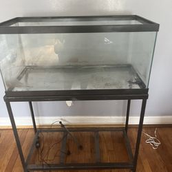 50 Gallon Tank With Stand And 75 Gallon Filter 80 Bucks