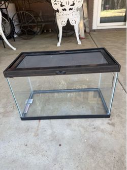 10 gallon tank