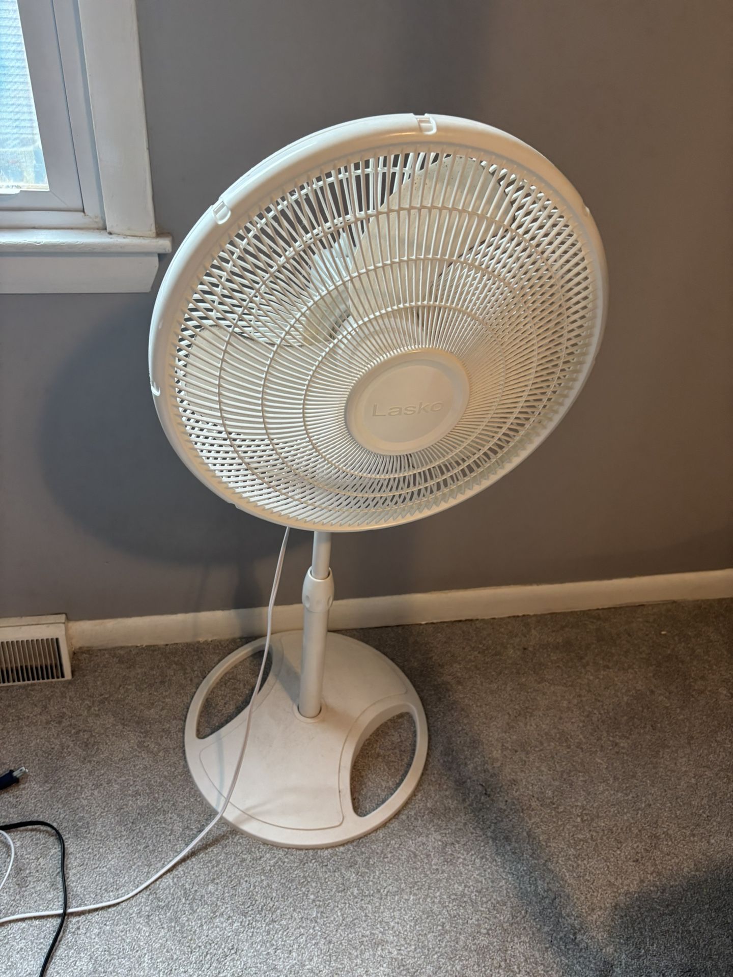 Fan