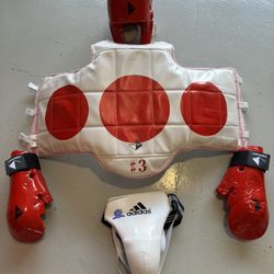 Martial Arts Sparring Gear
