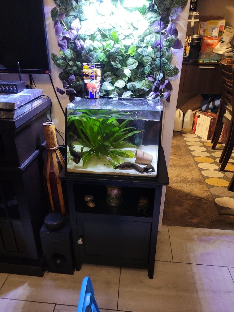 7 gallon Lifeguard AQUATIC FULL VIEW AQUARIUM WITH OVERFLOW BUILT IN