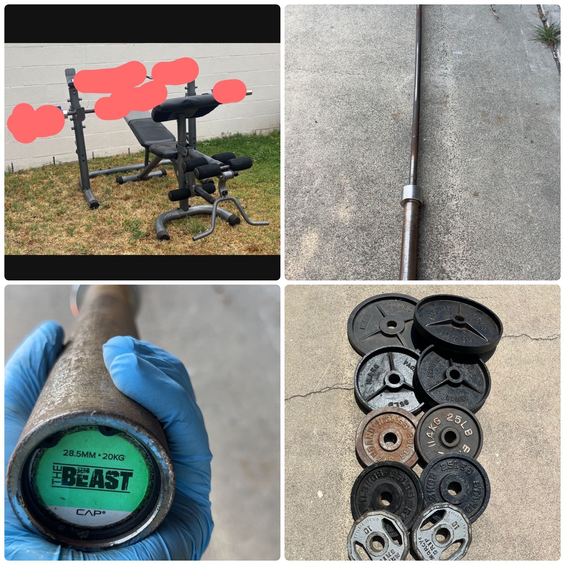 Bench, Squat Rack, Weights And Barbell