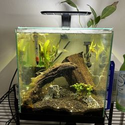 2 Fish Tanks