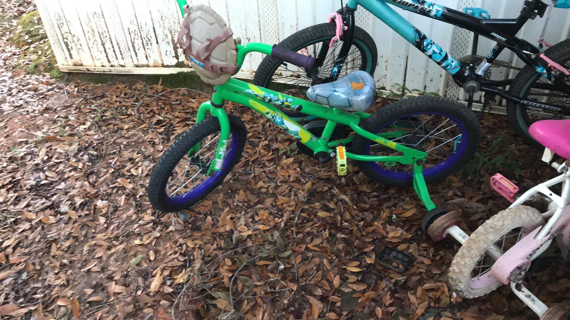 Kids Ninja Turtle bike