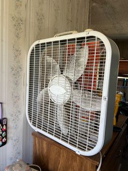 Box fan