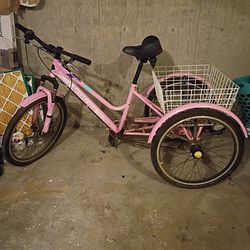 Three wheel adult trike