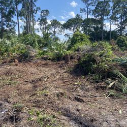 sod, land clearing, & grading