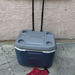 Cooler
