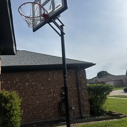 Multiple items must go