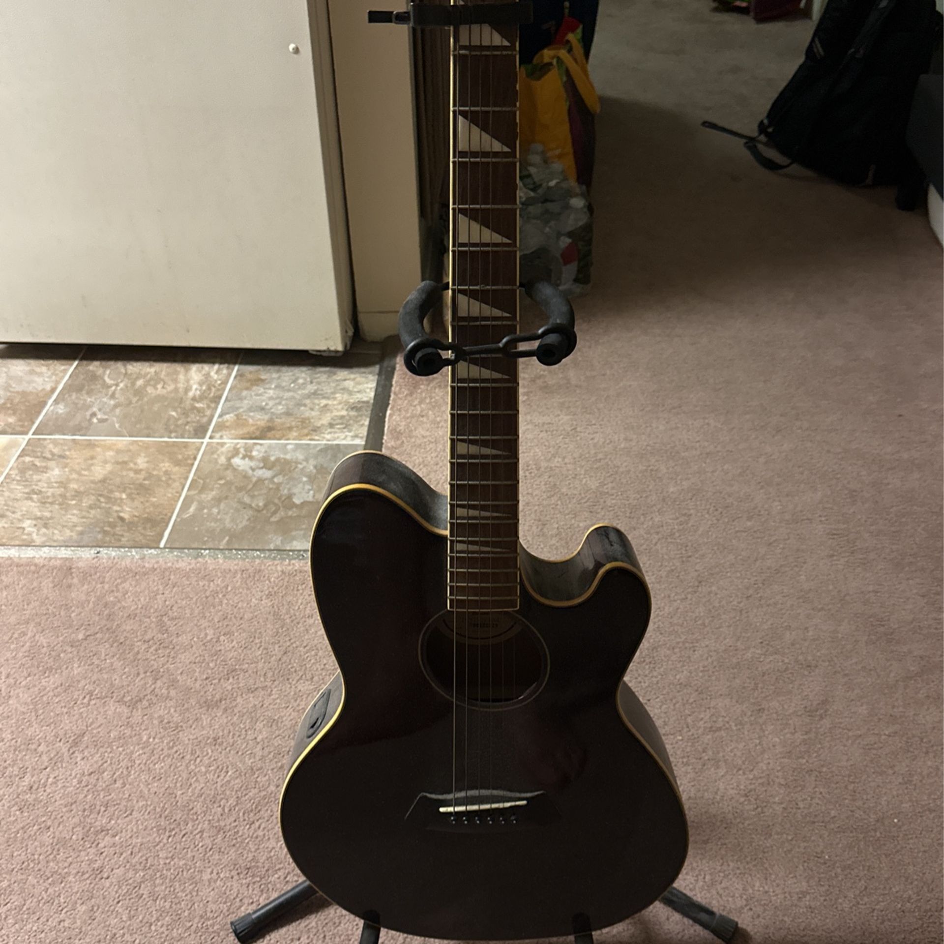 Talman Intercity Ibanez Guitar