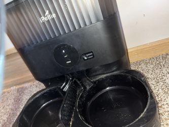Cat Feeder 