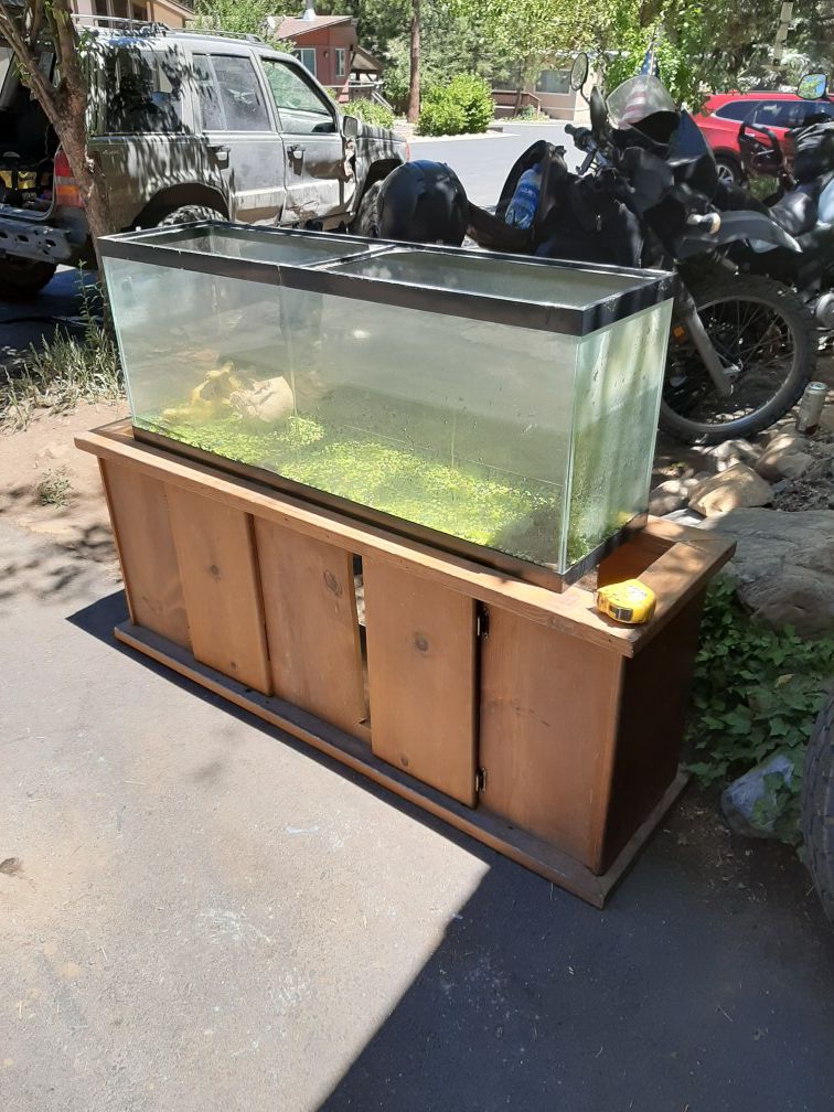 40 gallon fish tank and stand