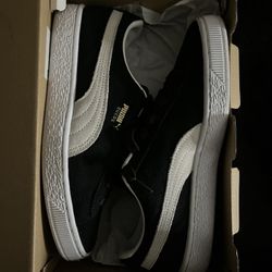 Pumas 6y 