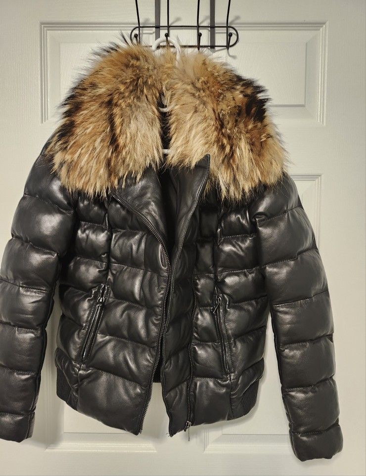 Winter Jacket