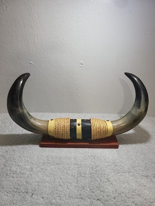 Cattle Horns Mounted Authentic 20"× 11" Preowned Vintage 
