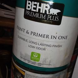 1 Gallon Paint Cans