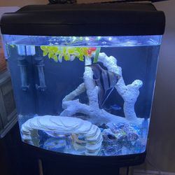 Fish Tank / With Lots Of Accessories 