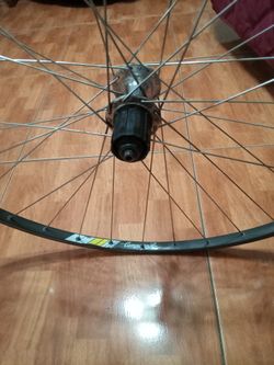Campagnolo