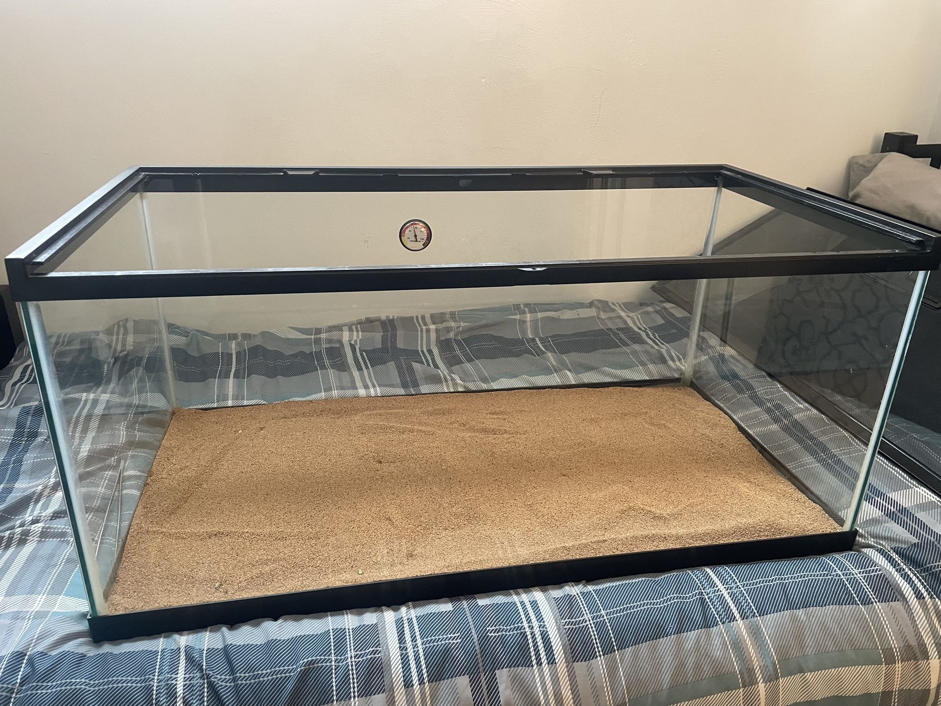 Lizard Tank