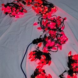 175ft Holland Garden LED Red Outdoor Christmas Lights