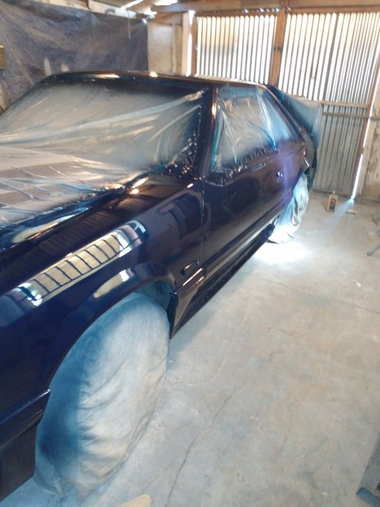 Auto Body Paint