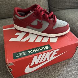Nike Dunks Youth 2.5