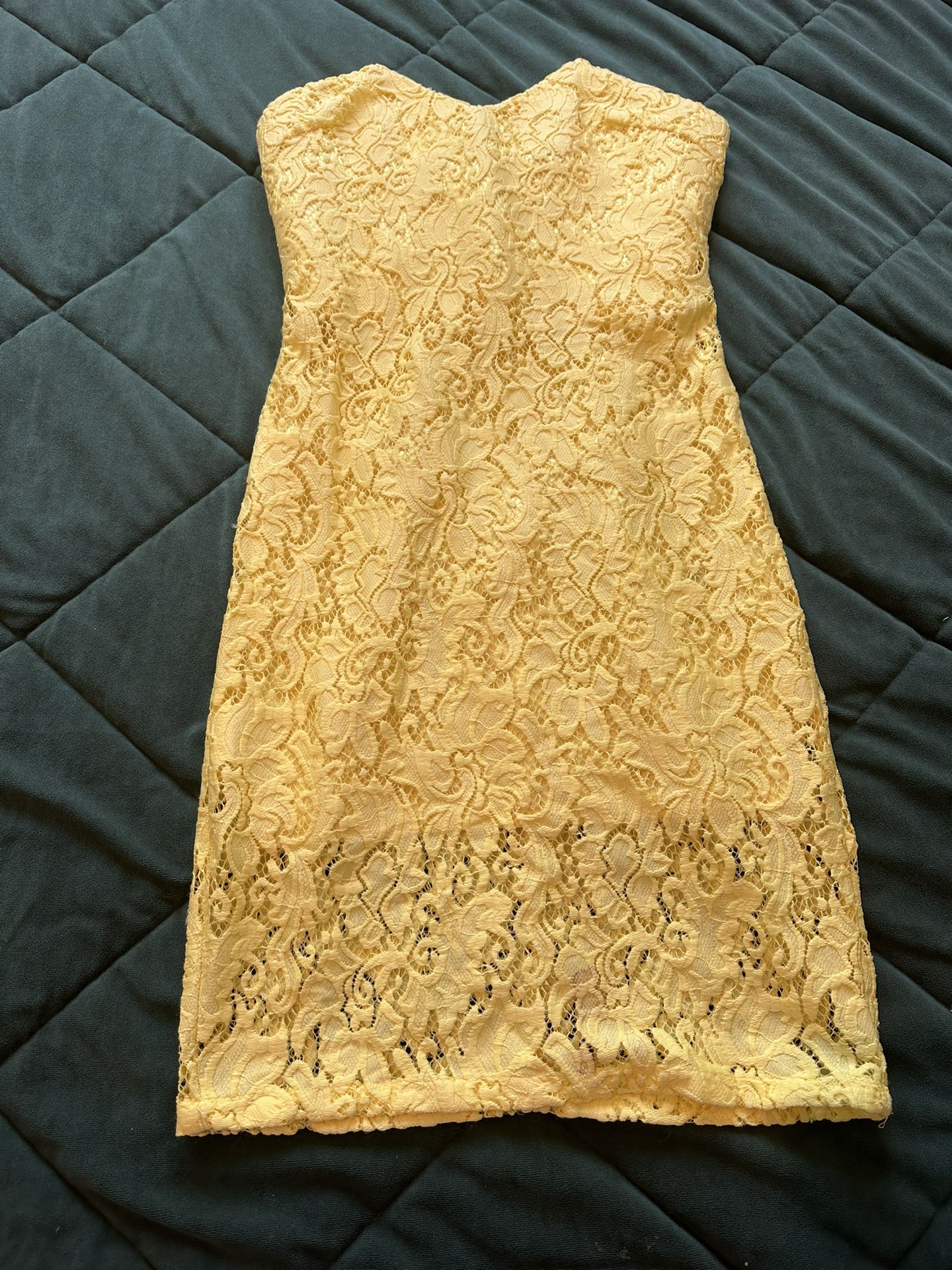 Petite Clothing 