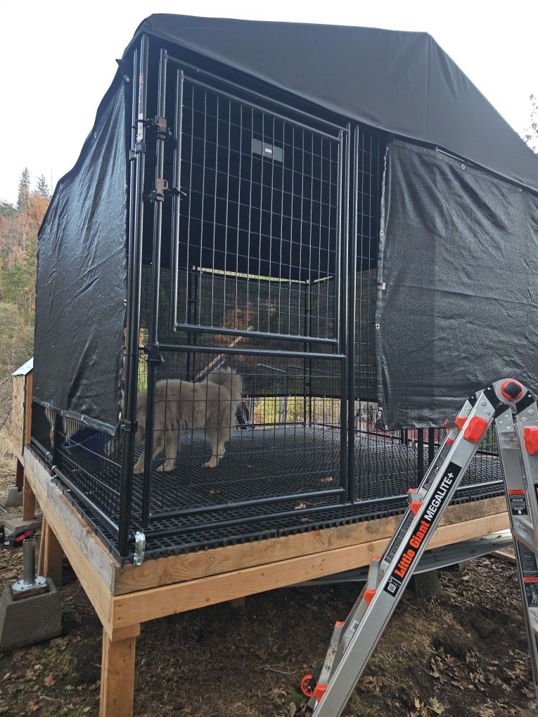 Kennel