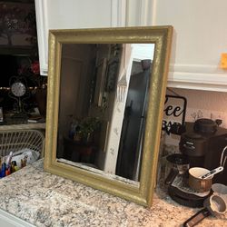 Gold Embellished Mirror Really Pretty 24”x20”