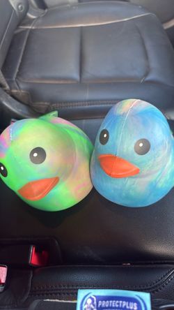 Duck squishy