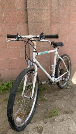 Raleigh Technique