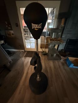 Everlast reflex punching bag