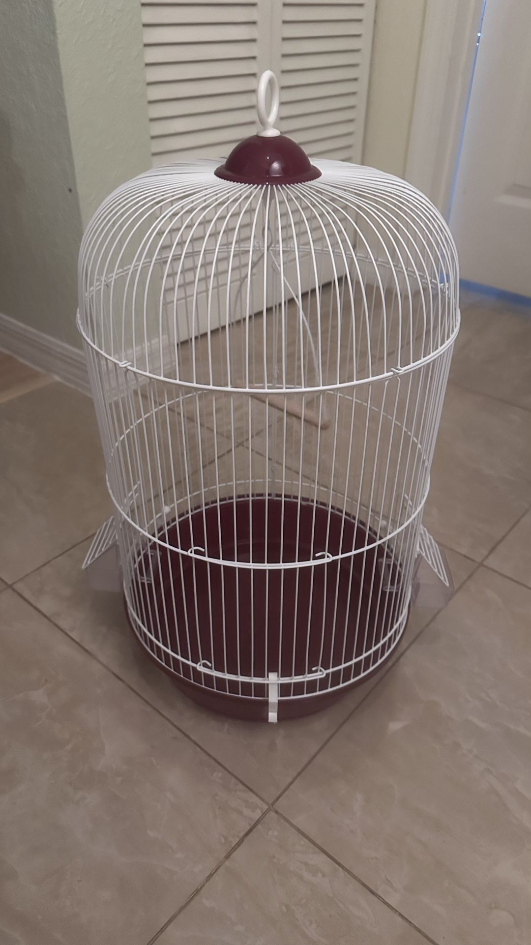 Bird Cage