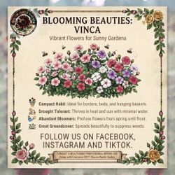 Flowers, herbs, plants & more