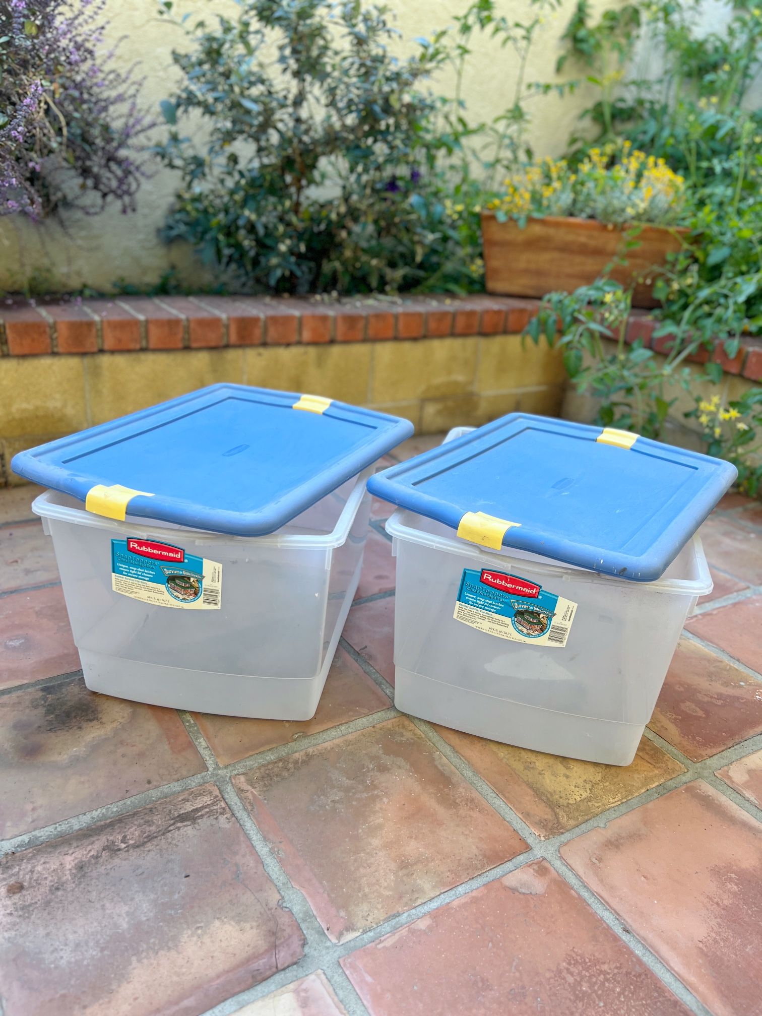Clear Plastic Storage Boxes