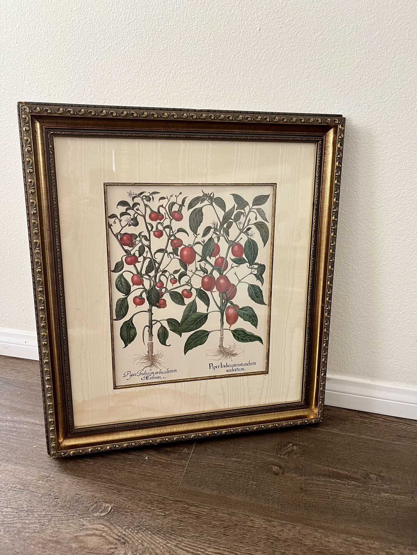 Framed Gilded Botanical Art Print with Red and Green Accents