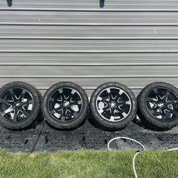 Black Rhino Mosaique Black