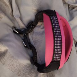 Small Pink Holster