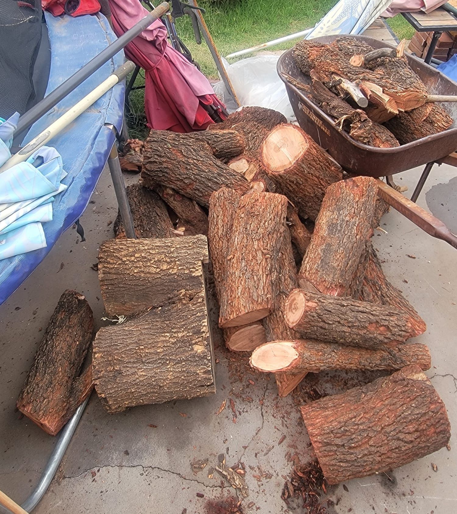 Burning Wood